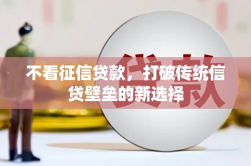 屏边不看征信贷款，打破传统信贷壁垒的新选择