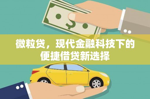 屏边微粒贷，现代金融科技下的便捷借贷新选择