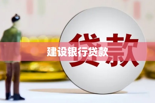 屏边建设银行贷款