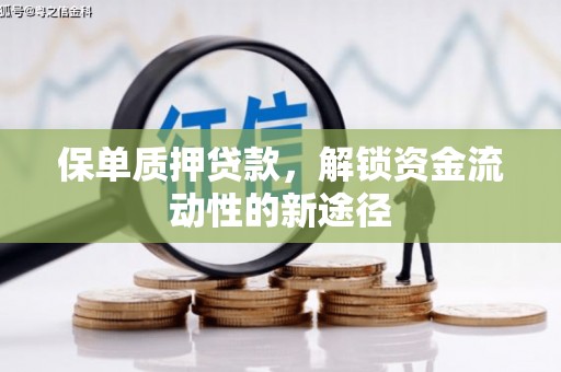 屏边保单质押贷款，解锁资金流动性的新途径