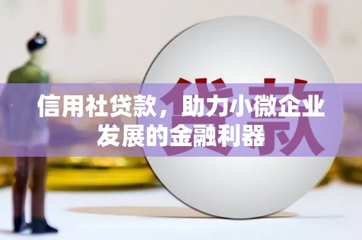 屏边信用社贷款，助力小微企业发展的金融利器