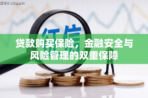 屏边贷款购买保险，金融安全与风险管理的双重保障