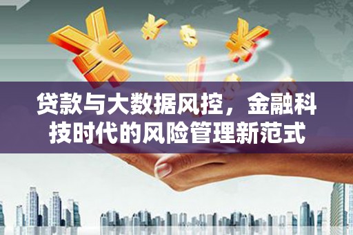 屏边贷款与大数据风控，金融科技时代的风险管理新范式