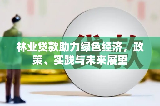 屏边林业贷款助力绿色经济，政策、实践与未来展望