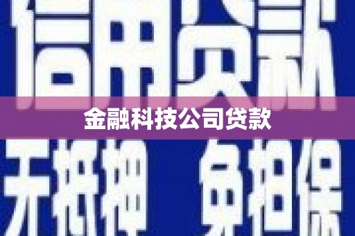 屏边金融科技公司贷款
