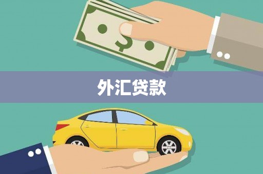 屏边外汇贷款