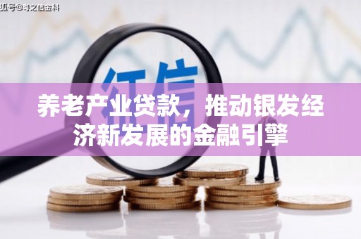 屏边养老产业贷款，推动银发经济新发展的金融引擎