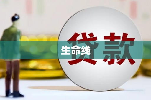 屏边生命线