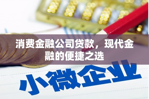 屏边消费金融公司贷款，现代金融的便捷之选