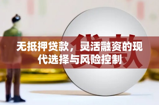 屏边无抵押贷款，灵活融资的现代选择与风险控制