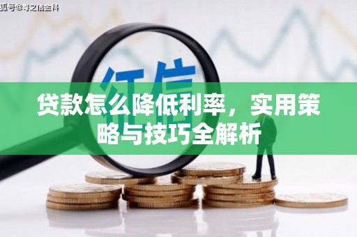 屏边贷款怎么降低利率，实用策略与技巧全解析