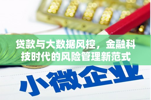 屏边贷款与大数据风控，金融科技时代的风险管理新范式