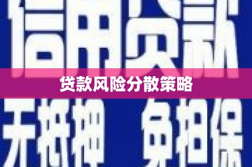 屏边贷款风险分散策略
