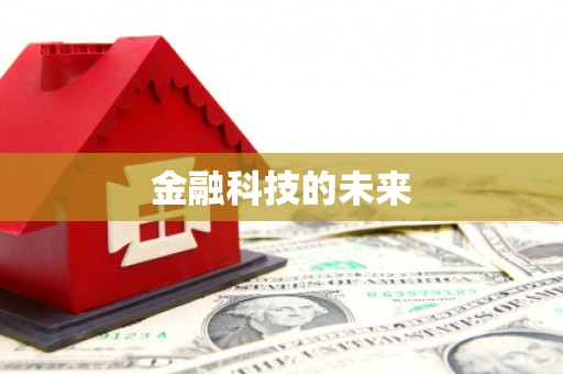 屏边金融科技的未来