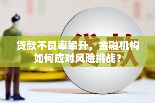 屏边贷款不良率攀升，金融机构如何应对风险挑战？
