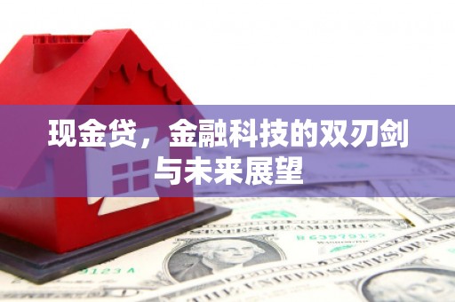 屏边现金贷，金融科技的双刃剑与未来展望