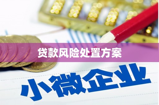 屏边贷款风险处置方案