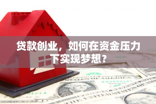 屏边贷款创业，如何在资金压力下实现梦想？