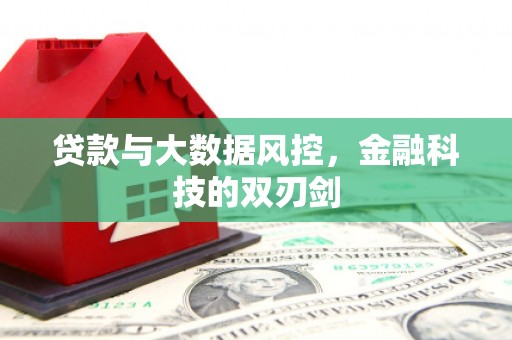 屏边贷款与大数据风控，金融科技的双刃剑