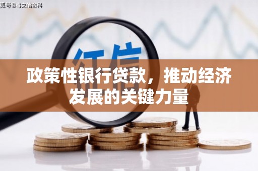 屏边政策性银行贷款，推动经济发展的关键力量