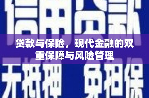 屏边贷款与保险，现代金融的双重保障与风险管理