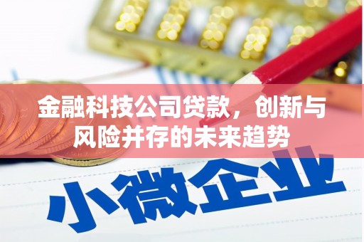 屏边金融科技公司贷款，创新与风险并存的未来趋势