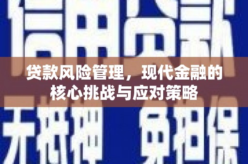 屏边贷款风险管理，现代金融的核心挑战与应对策略