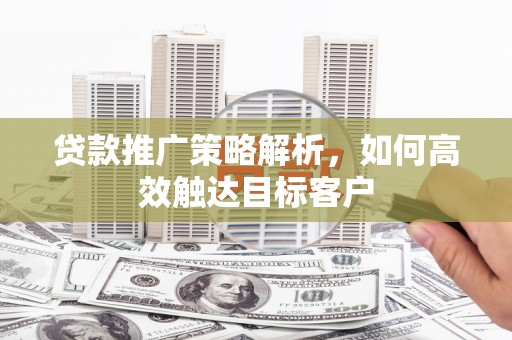 屏边贷款推广策略解析，如何高效触达目标客户