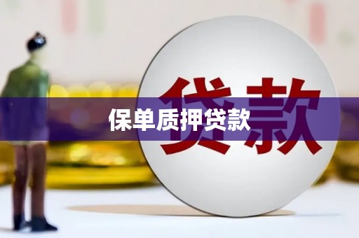 屏边保单质押贷款