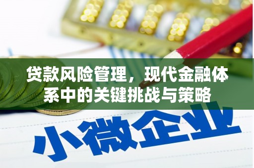 屏边贷款风险管理，现代金融体系中的关键挑战与策略