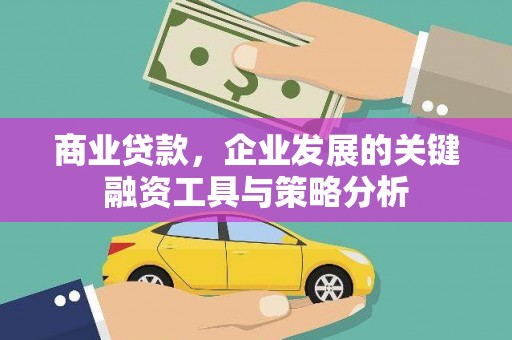 屏边商业贷款，企业发展的关键融资工具与策略分析