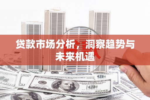 屏边贷款市场分析，洞察趋势与未来机遇