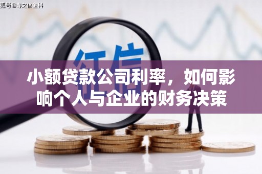 屏边小额贷款公司利率，如何影响个人与企业的财务决策