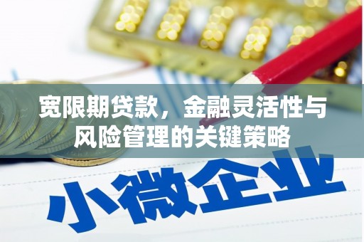 屏边宽限期贷款，金融灵活性与风险管理的关键策略