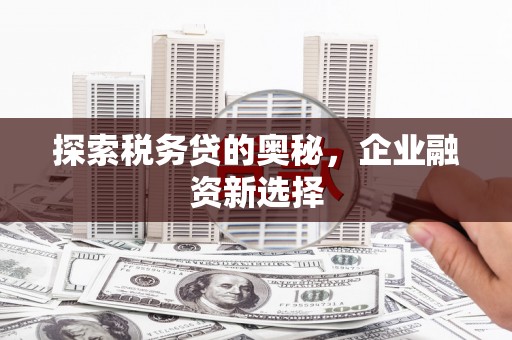 屏边探索税务贷的奥秘，企业融资新选择