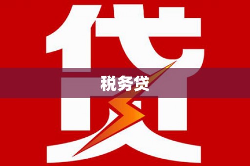 屏边税务贷