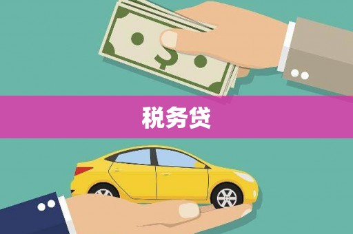 屏边税务贷