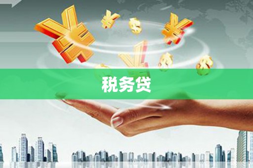 屏边税务贷