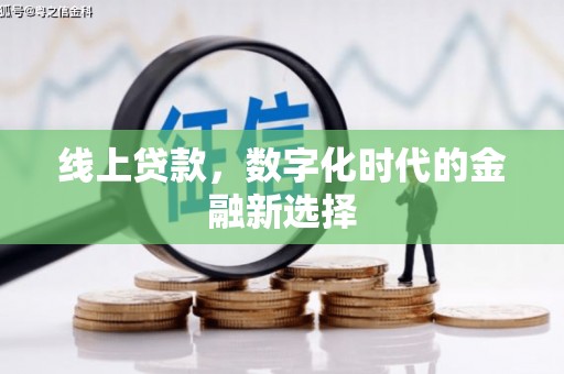 屏边线上贷款，数字化时代的金融新选择