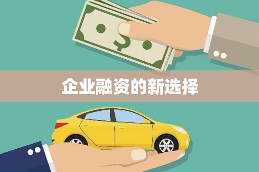 屏边企业融资的新选择