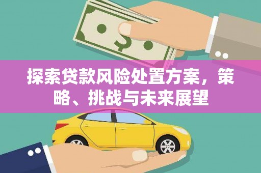 屏边探索贷款风险处置方案，策略、挑战与未来展望