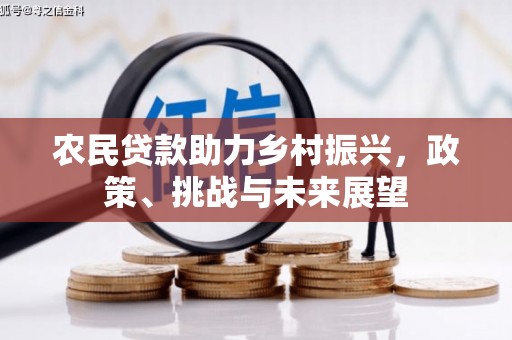 屏边农民贷款助力乡村振兴，政策、挑战与未来展望