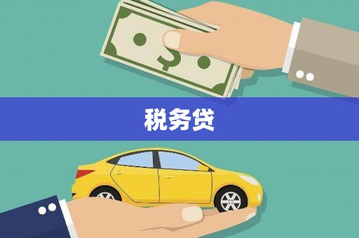屏边税务贷