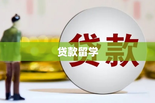 屏边贷款留学