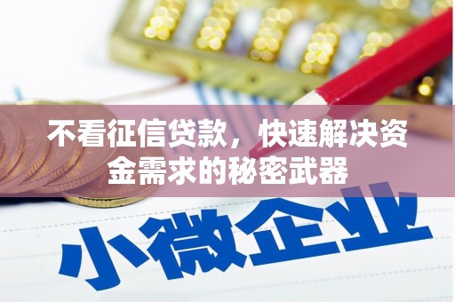 屏边不看征信贷款，快速解决资金需求的秘密武器