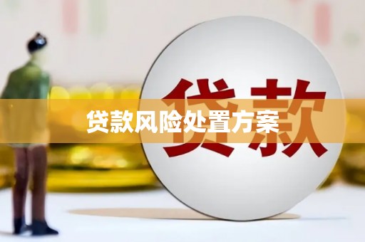 屏边贷款风险处置方案
