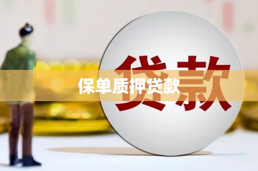 屏边保单质押贷款