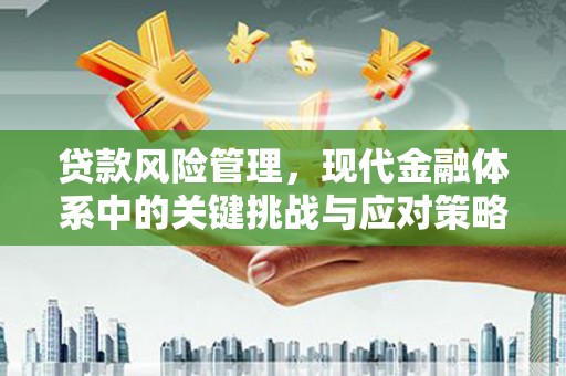 屏边贷款风险管理，现代金融体系中的关键挑战与应对策略
