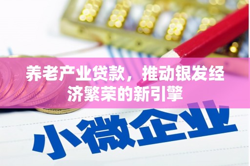 屏边养老产业贷款，推动银发经济繁荣的新引擎