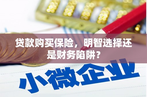 屏边贷款购买保险，明智选择还是财务陷阱？